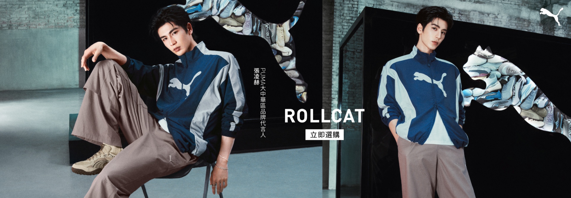 Rollcat