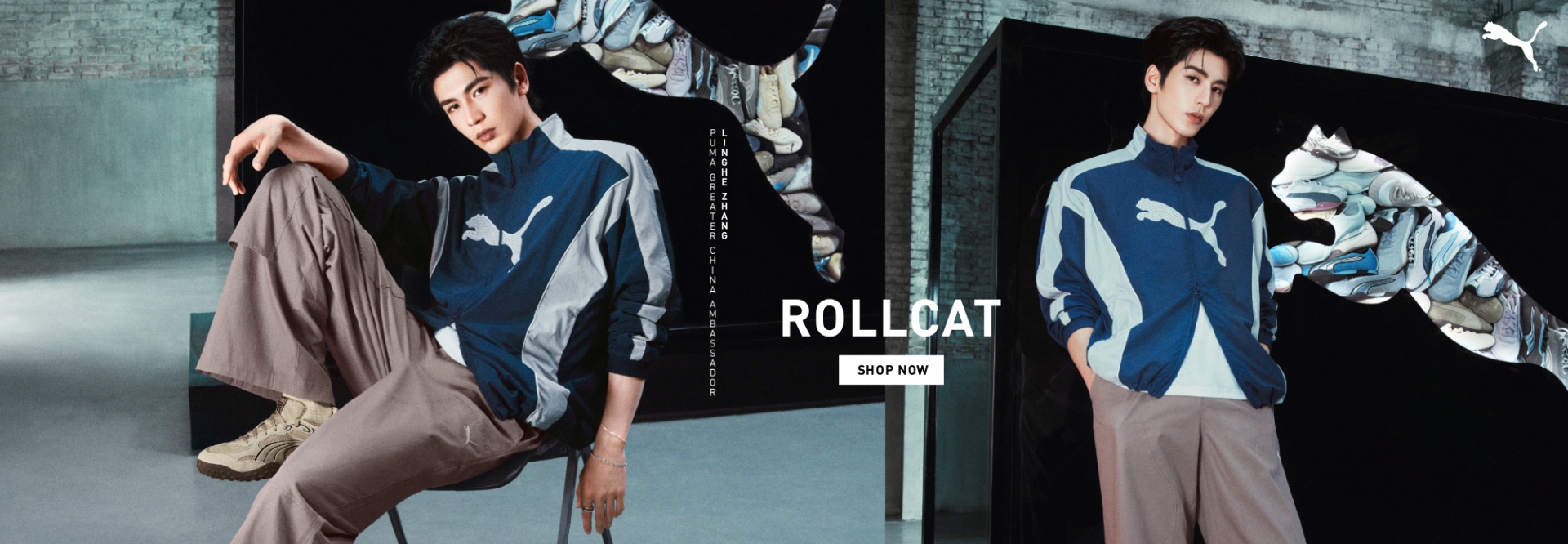 Rollcat