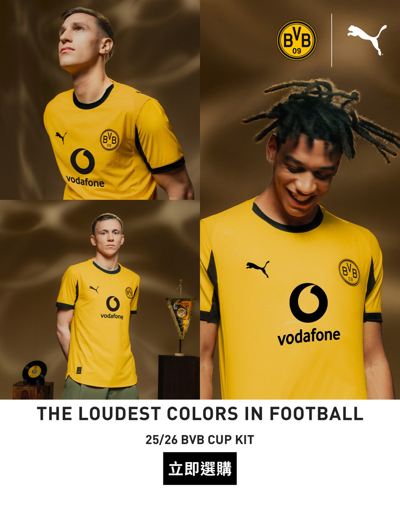 染付龍紋  盃 染付龍紋 盃 染付龍紋 盃